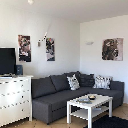 Ferienwohnung Aigisblick Mit Pool Und Sauna, Direkt Am Skihang ميسين-فيلامس المظهر الخارجي الصورة