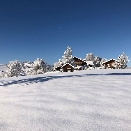 Ferienwohnung Aigisblick Mit Pool Und Sauna, Direkt Am Skihang ميسين-فيلامس المظهر الخارجي الصورة