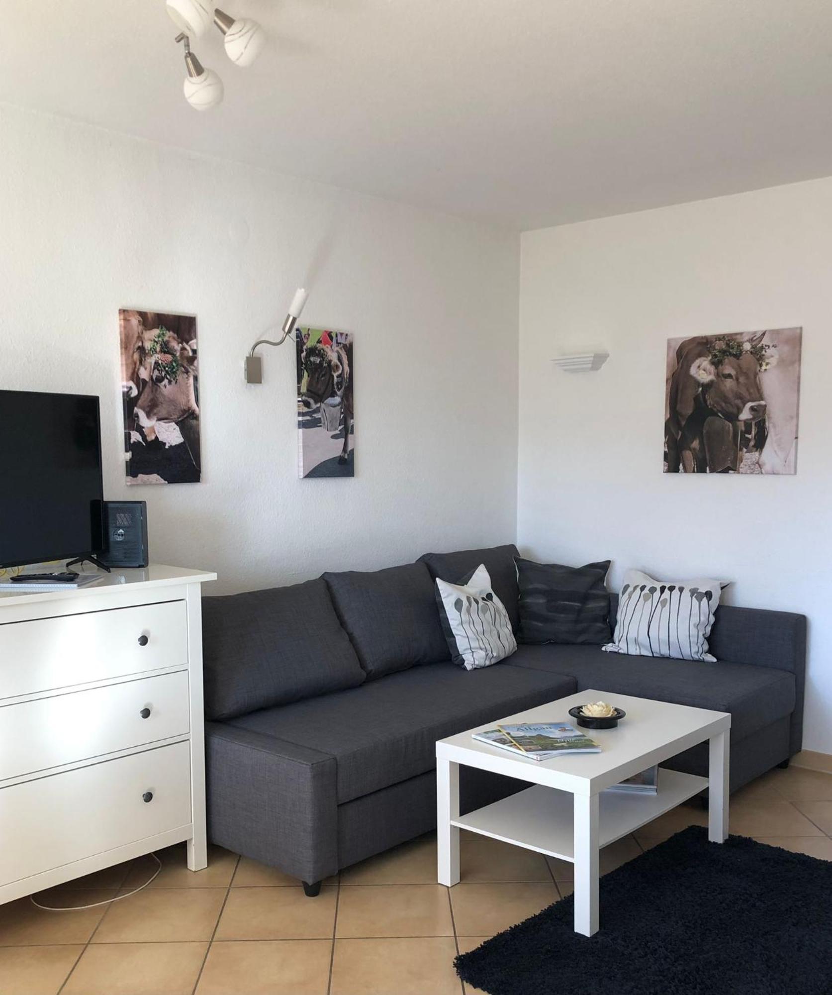 Ferienwohnung Aigisblick Mit Pool Und Sauna, Direkt Am Skihang ميسين-فيلامس المظهر الخارجي الصورة
