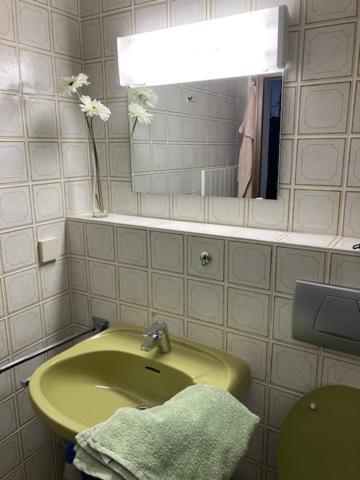 Ferienwohnung Aigisblick Mit Pool Und Sauna, Direkt Am Skihang ميسين-فيلامس المظهر الخارجي الصورة