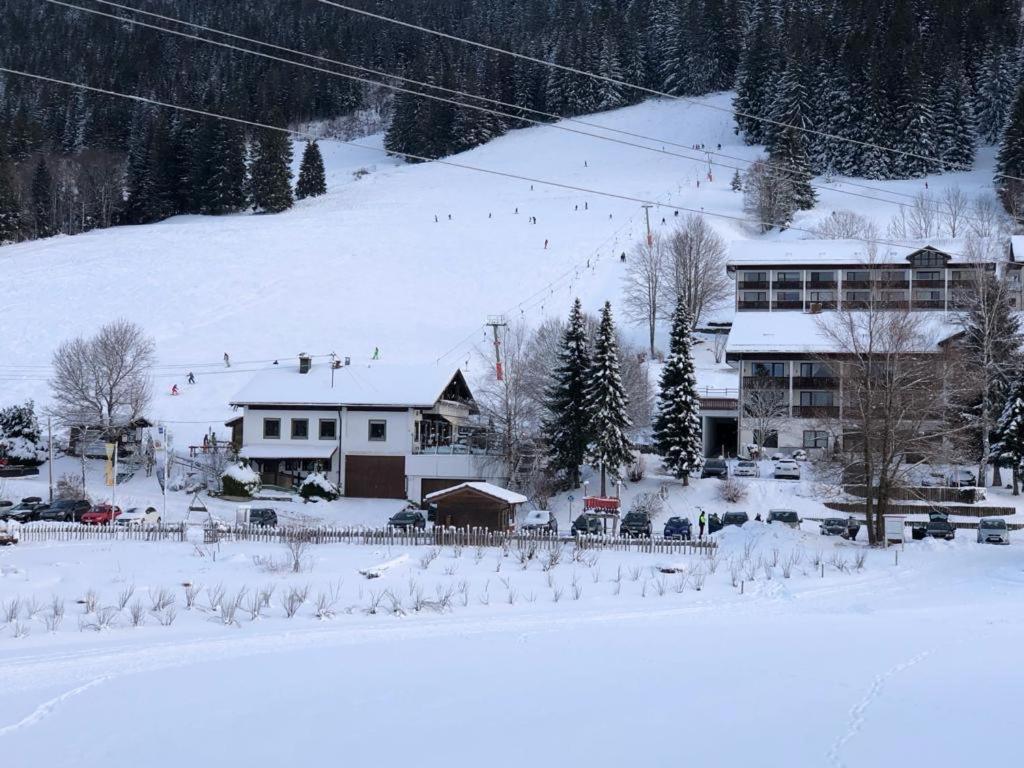 Ferienwohnung Aigisblick Mit Pool Und Sauna, Direkt Am Skihang ميسين-فيلامس المظهر الخارجي الصورة